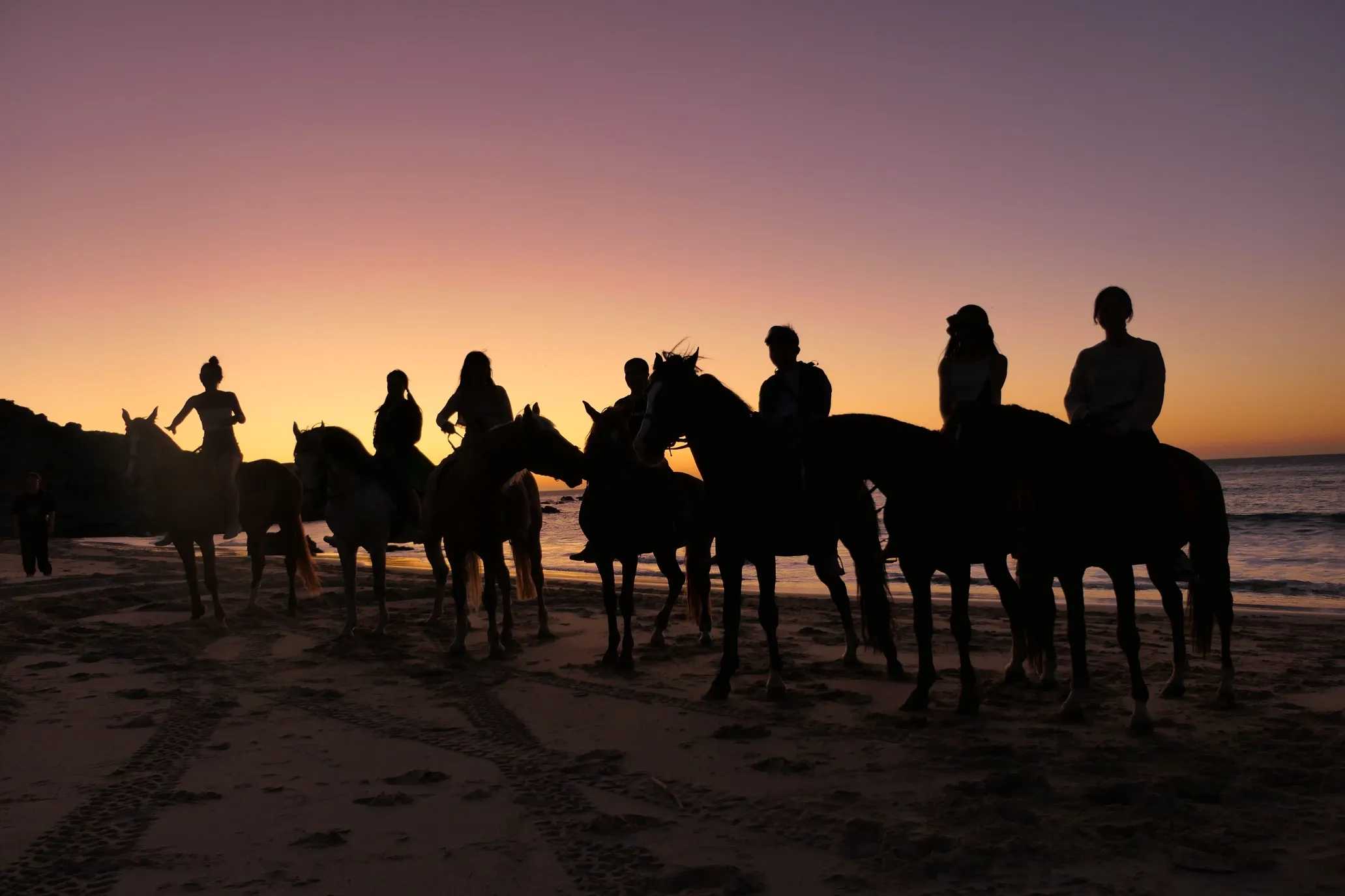 Team building sunset camel experience in Northern Morocco